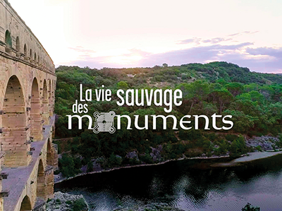 La vie sauvage des monuments