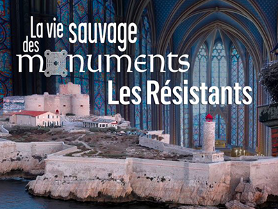 La vie sauvage des monuments : Les résistants