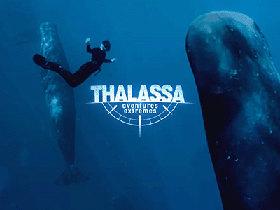 Thalassa, aventures extrêmes