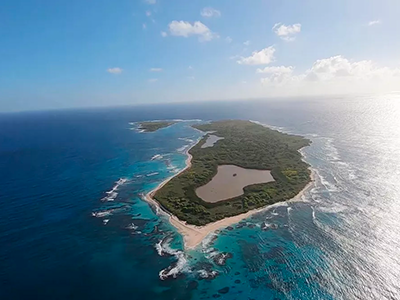 La vie sauvage des monuments aux Petites Antilles