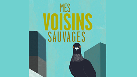 Mes voisins sauvages