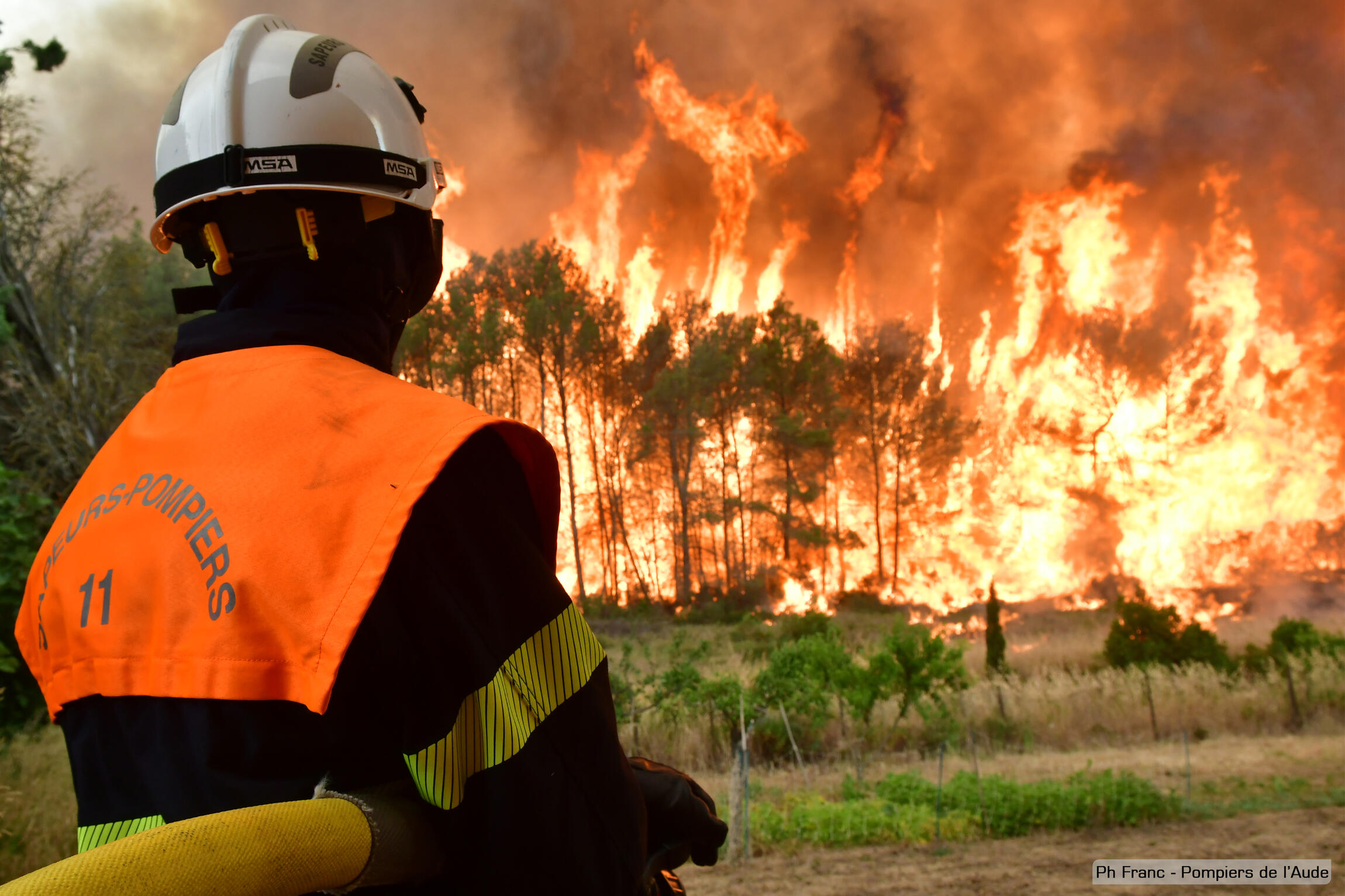Pompier en tenue, devant des arbres en feu. De très grands feux.